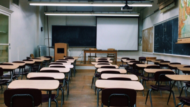 Concorso docenti 2019: laurea e 24 Cfu