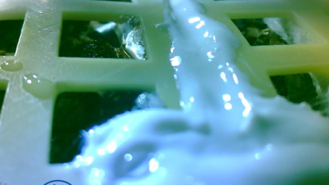 L'immagine dei germogli rilasciata dall'Agenzia Spaziale Cinese