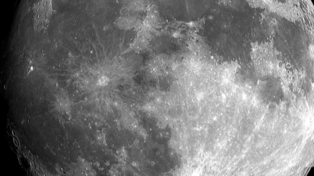 nasce cotone sulla faccia nascosta della Luna