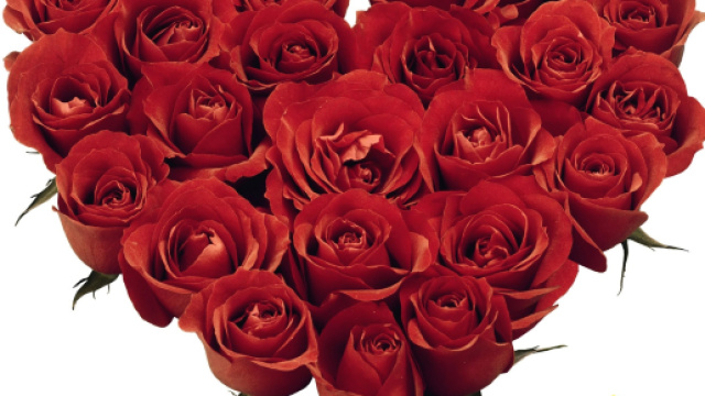 Oroscopo febbraio, previsioni Cancro: avrete bisogno di sostegno