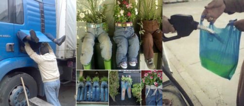 Essas pessoas passaram dos limites (Foto - Reprodu&ccedil;&atilde;o)