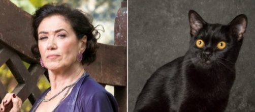 Valentina e o gato Le&oacute;n, que em breve se tornar&aacute; humano. (Reprodu&ccedil;&atilde;o/TV Foco)