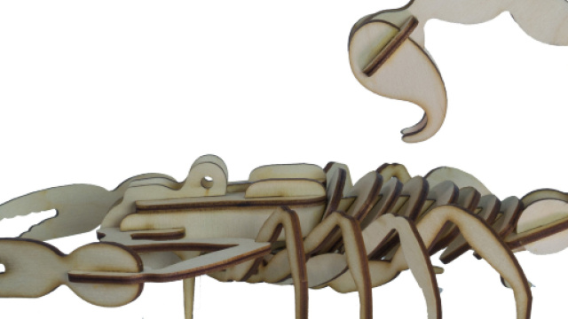 Oroscopo febbraio, previsioni Scorpione: sarete buoni organizzatori