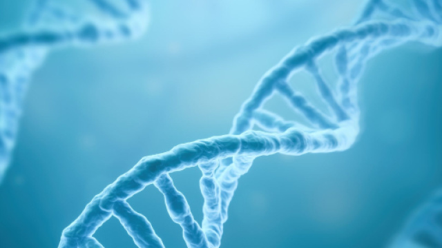 Altra gravidanza: nuovo bambino geneticamente modificato