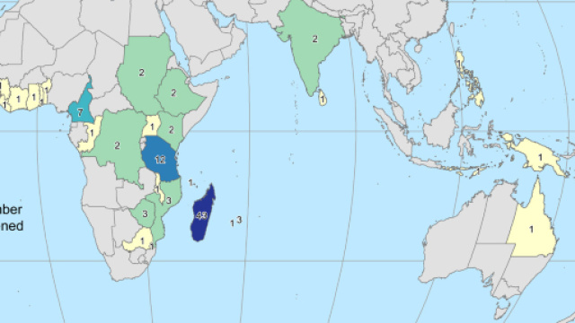 Universit&agrave; di Nottingham: a rischio estinzione il 60% delle specie di caff&egrave; selvatiche
