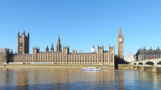 Troppa cocaina nel Tamigi: impazziscono le anguille