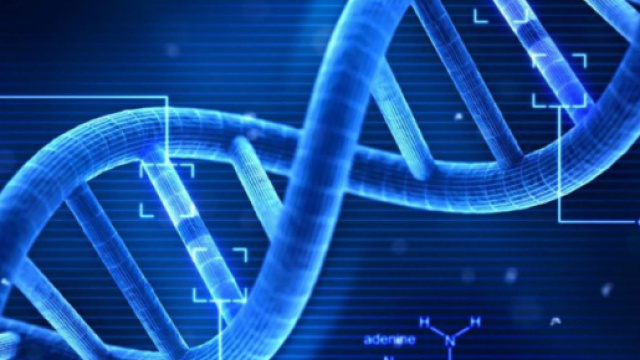 Un'altra donna incinta di un bambino con DNA modificato. (immagine:valuechina.net)