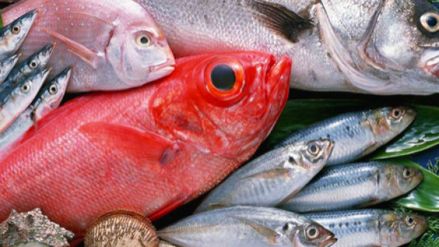 Inquinamento in Veneto da Pfas: di cosa si tratta