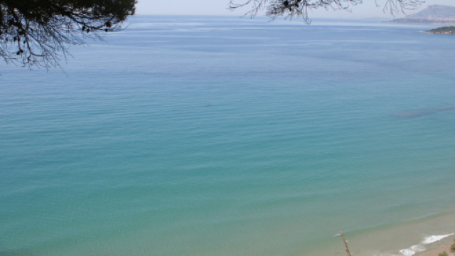 Casting oer il film 'Easy Living' e uno shooting fotografico