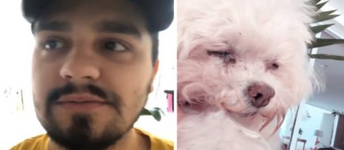 Luan Santana (Reprodu&ccedil;&atilde;o - Instagram)