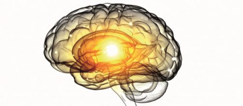 Prevenci&oacute;n y remedios para la enfermedad de Alzheimer - Guia del ... - elalzheimer.com