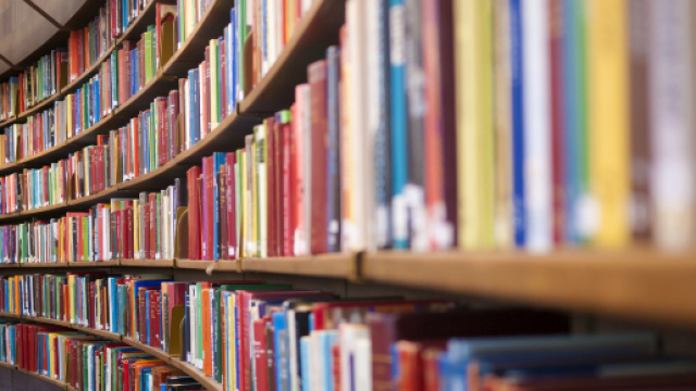 La crisi dei libri e l'Italia a due velocit&agrave; che non ci piace ... - pellegrinogiornale.it