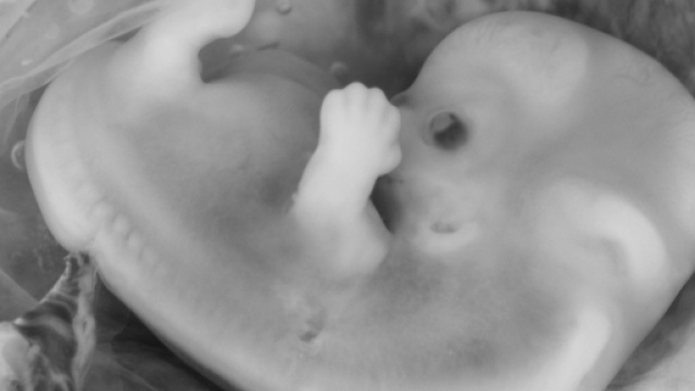 L'Italia e l'aborto: una questione ancora spinosa | OggiScienza - oggiscienza.it