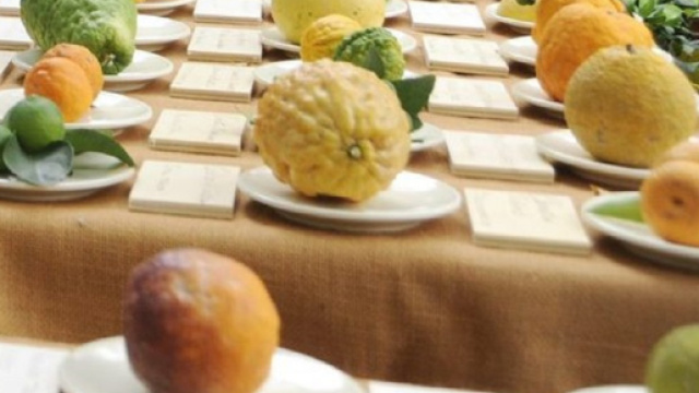 Agrumi, fonte di vitamina C: un aiuto per il sistema immunitario