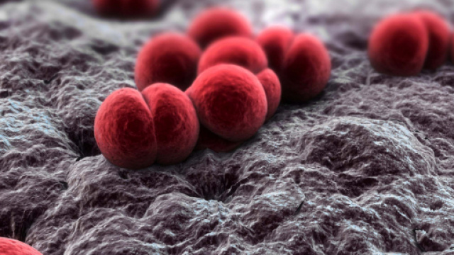 Meningite virale e batterica colpisce ancora