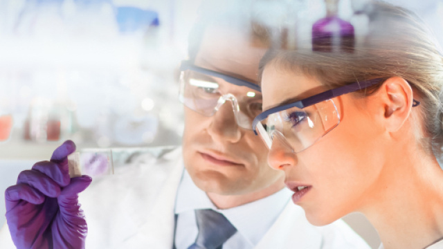 Premio Maria Paola Belloni, 5mila euro a medici e scienziati ... - venetoeconomia.it