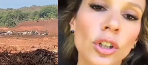 Luisa Mell se revolta com situa&ccedil;&atilde;o em Brumadinho. (Reprodu&ccedil;&atilde;o - Instagram)