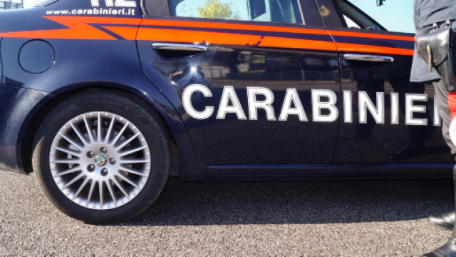 Brindisi, orrore in strada a Carovigno: cane ucciso a colpi di arma da fuoco in pieno centro