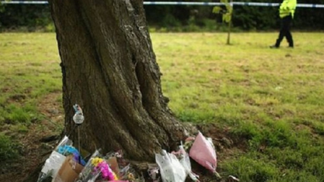 La piccola Ambre si &egrave; tolta la vita impiccandosi a un albero.