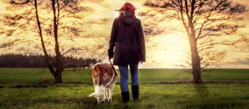 Walking your dog in a public place or taking it in the car is banned in Tehran, Iran [Image Pixabay]