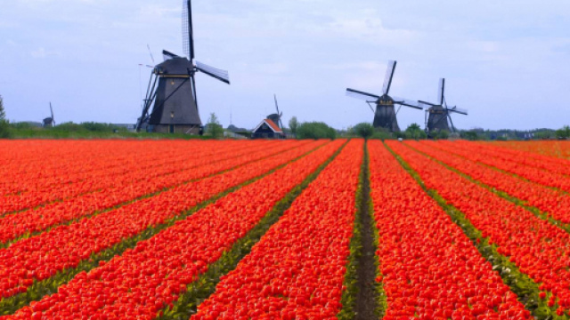 Olanda 5 curiosit&agrave; interessanti.