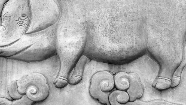 Oroscopo cinese di febbraio per il cinghiale.