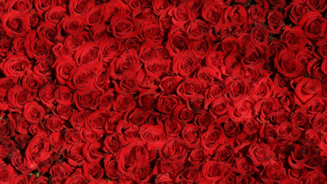 Si &egrave; concluso il trono di Andrea