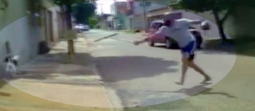 Cachorro &eacute; agredido com rodo. Fonte: G1