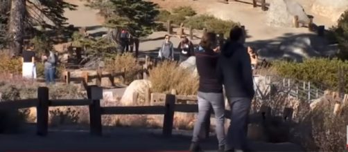 Tourists in Yosemite National Park. [Image source/Associated Press YouTube video]