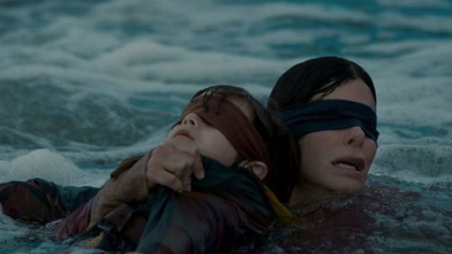 Bird Box Challenge: la nuova pericolosa moda nata dal film con Sandra Bullock