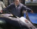 A massive bluefin tuna sells for $3.1 million at an auction in Tokyo’s fish market