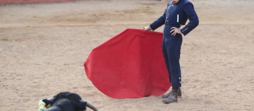 El nieto de Adolfo Su&aacute;rez se estrena como torero