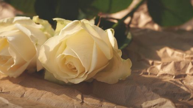 L'oroscopo dell'amore di coppia del 19 ottobre