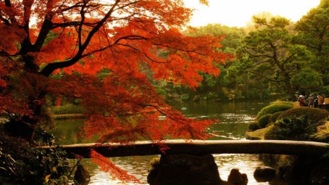 L'autunno in Giappone: &egrave; il momento del momijigari.