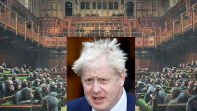 LE SCIMMIE DI BANSKY NEL PARLAMENTO INGLESE e il gorilla Bojo ... - gospanews.net