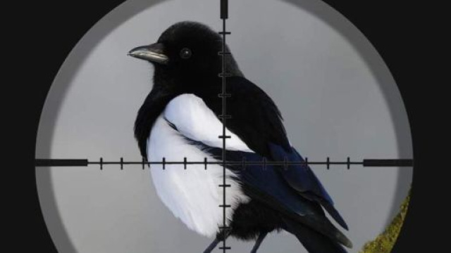 Affiche de l'ASPAS / Je suis en voie de destruction