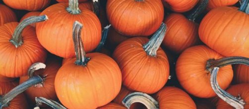 Descubre c&oacute;mo se celebra Halloween en EEUU - AGM - agmeducation.com