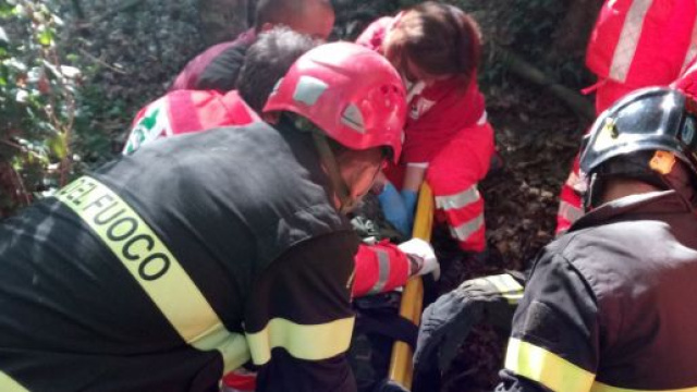 Calabria, perde la vita un cacciatore.