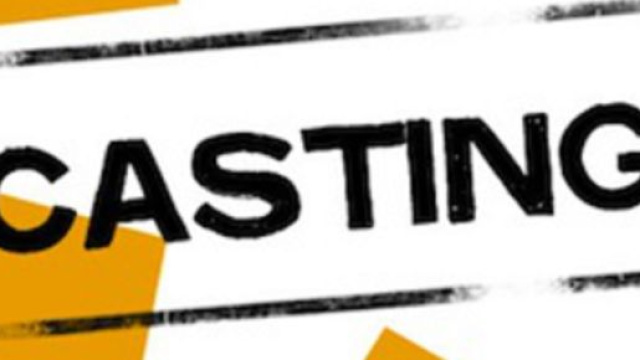 Casting per un Festival cinematografico e uno spettacolo