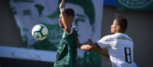 Goi&aacute;s vem embalado com tr&ecirc;s vit&oacute;rias. (Arquivo Blasting News)