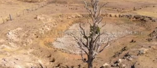 The crippling drought is stretching into even the greenest parts of Australia. [Image source &ndash; ABC News (Australia) YouTube video]