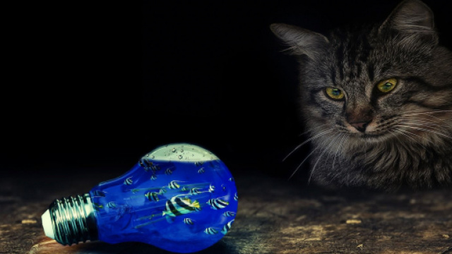 Oroscopo 10 ottobre 2019: Ariete impulsivo, flirt per Pesci.