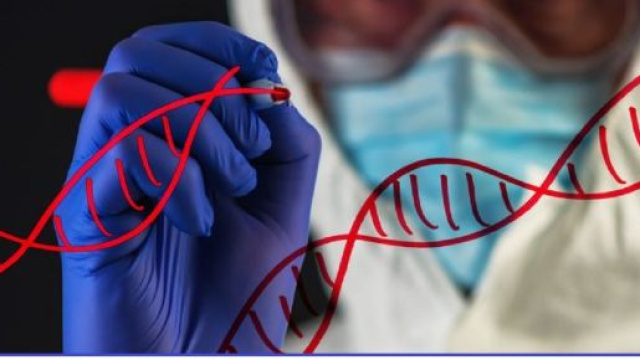 Negli Stati Uniti una start-up offre un test genetico sugli embrioni. Il test &egrave; disponibile in 12 cliniche nel mondo, di cui 6 negli USA.
