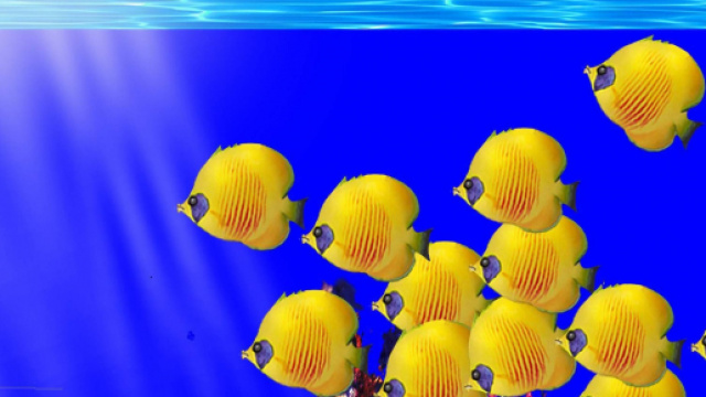 Oroscopo, classifica 13 novembre: Vergine spossata, Pesci distratti.