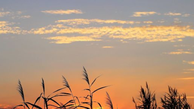 Oroscopo 5 dicembre: Sagittario attivo, Gemelli accondiscendente