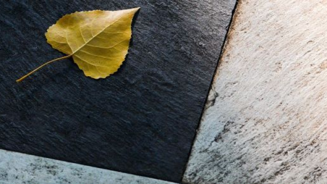 L'oroscopo del giorno 14 novembre