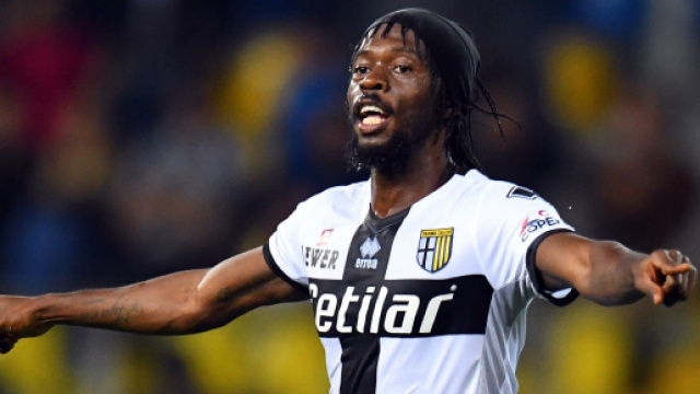 Parma: Gervinho potrebbe farcela per Bologna, Inglese no