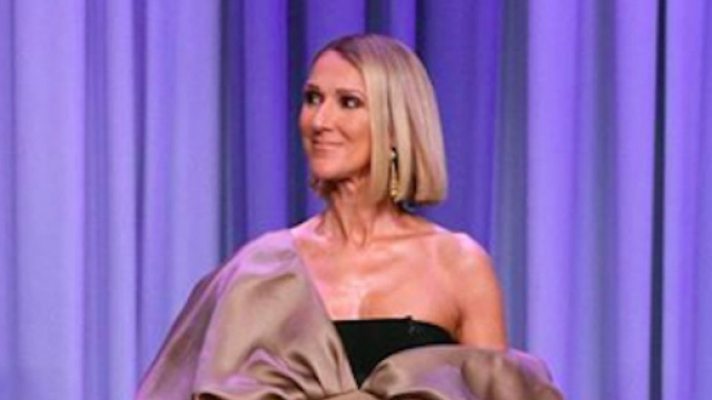 C&eacute;line Dion a failli &ecirc;tre attaqu&eacute; par un militant vegan. Credit: Instagram/celinedion