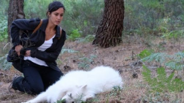 La Caccia Monteperdido, quarta puntata 24 novembre: Joaquin offre una taglia per trovare sua figlia