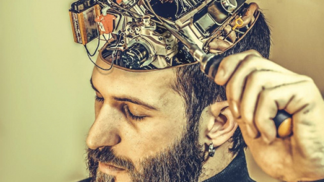 Le striatum: ce cerveau archa&iuml;que qui nous rend d&eacute;raisonnable. Credit: Pexels